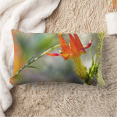 クリムゾンオダマキ（植物）フレーミングエンド ランバークッション (ブランケット)