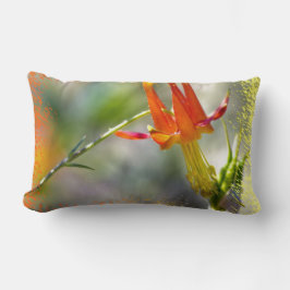 クリムゾンオダマキ（植物）フレーミングエンド ランバークッション