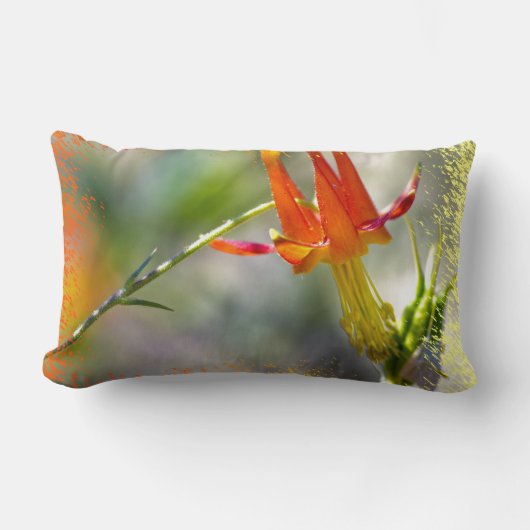 クリムゾンオダマキ（植物）フレーミングエンド ランバークッション (正面)