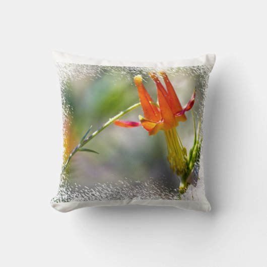 クリムゾンオダマキ（植物）ホワイトエッジ クッション (正面)
