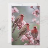 "クリムゾントリオ:ピンクの開花の中の赤いフィンチ" 招待状 (裏面)
