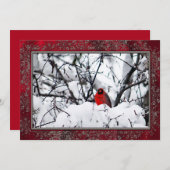 クリムゾンレッドの鳥の雪の写真のクリスマス 招待状 (正面/裏面)