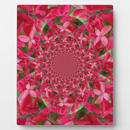 クリムゾン万華鏡のように千変万化するパターン:ブラッド・ミルクウィード・フラワーアート フォトプラーク (正面)