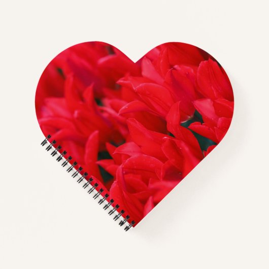 クリムゾン波 ノートブック (正面)