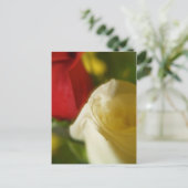 『クリムゾン・アンド・クリーム』はがき ポストカード (スタンド正面)