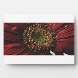 クリムゾン ゲルバ マクロ フォトプラーク