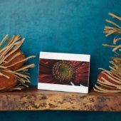 クリムゾン ゲルバ マクロ フォトプラーク (側面)