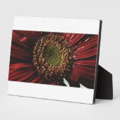 クリムゾン ゲルバ マクロ フォトプラーク (側面)