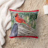 クリムゾン（鳥）ショウジョウコウカンチョウ クッション (ブランケット)