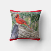 クリムゾン（鳥）ショウジョウコウカンチョウ クッション (裏面)