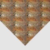 クリムトのアデル・ブロッホ・バウアーポートレート 薄葉紙 (詳細)