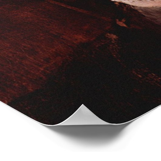 クリムト – レディのポートレート1894 ポスター (角)