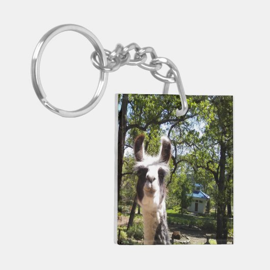 クリヤ キーホルダー (正面左)