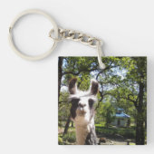 クリヤ キーホルダー (正面)