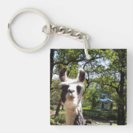 クリヤ キーホルダー