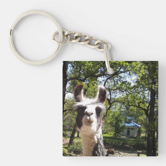 クリヤ キーホルダー (正面)