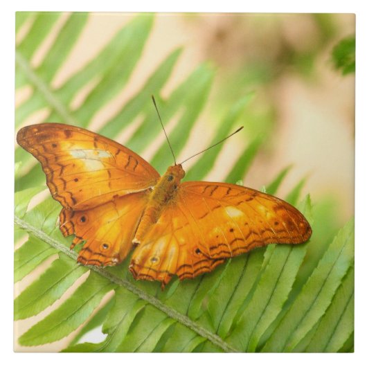 クリューサー・バタフライ タイル (正面)