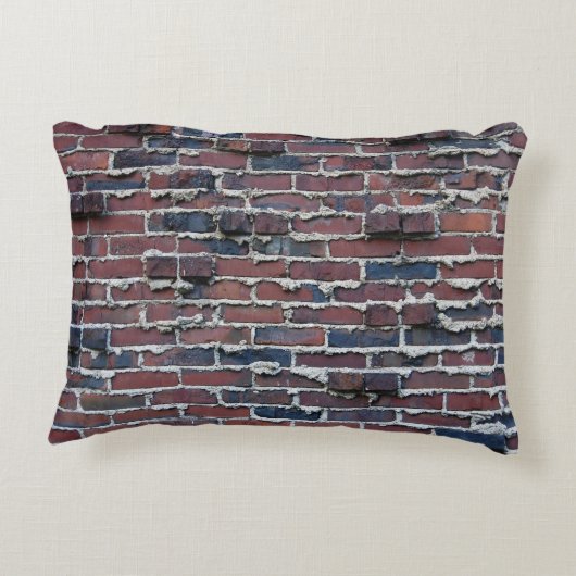 クリンカーれんが(泣き臼付き)アクセント枕 アクセントクッション (裏面)