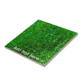 クリンクルグリーン溶融ガラス タイル (側面)