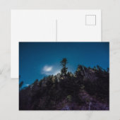 クリングマンズドームの森の上の夜空 ポストカード (正面/裏面)