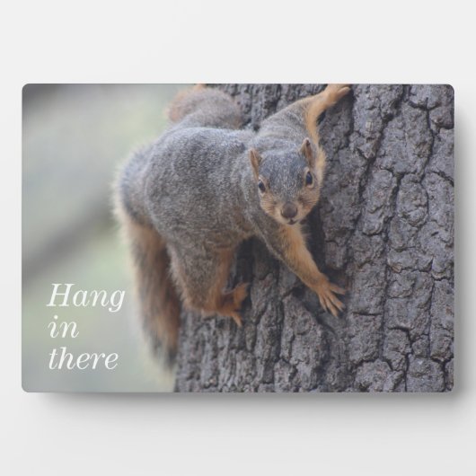 クリングリス フォトプラーク (正面)