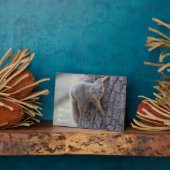 クリングリス フォトプラーク (側面)