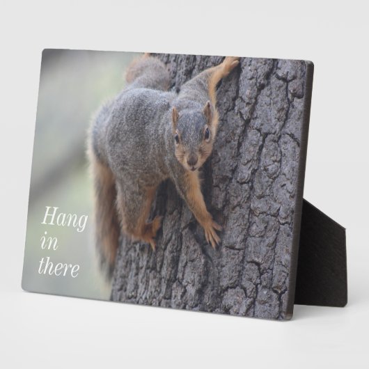 クリングリス フォトプラーク (側面)