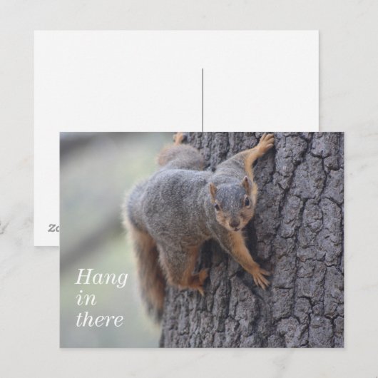 クリングリス ポストカード (正面/裏面)