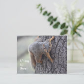 クリングリス ポストカード (スタンド正面)