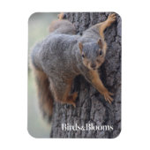 クリングリス マグネット (縦)