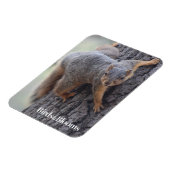 クリングリス マグネット (左側)