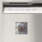 クリングリス マグネット (インサイチュ (食洗機))