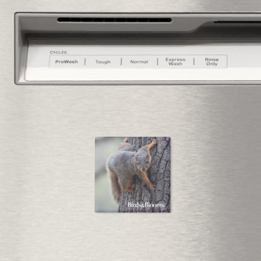 クリングリス マグネット (インサイチュ (食洗機))