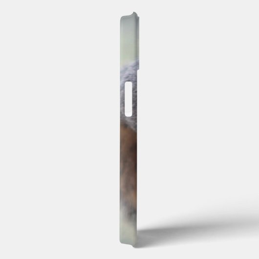 クリングリス Case-Mate iPhoneケース (裏面 / 右)