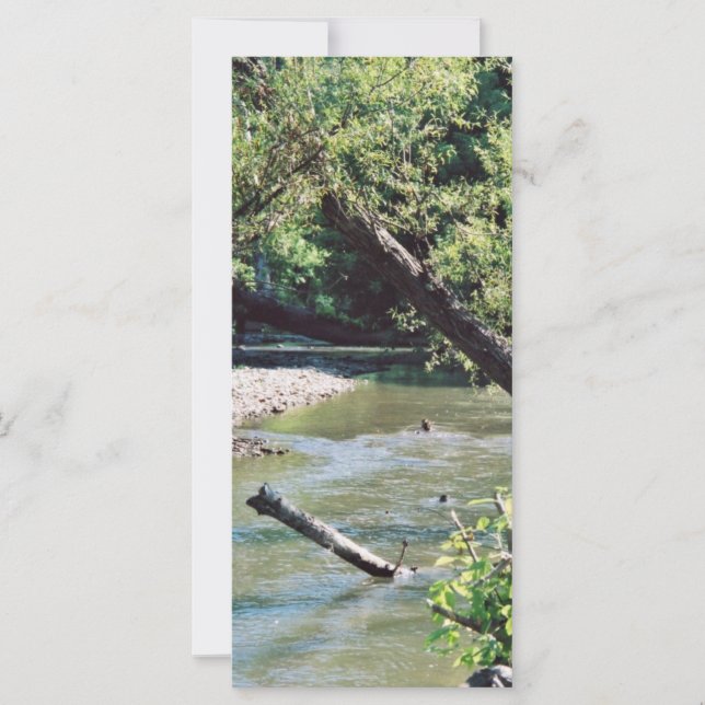 クリンチリバーシーニック (正面)