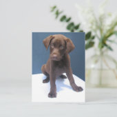 クリント ポストカード (スタンド正面)