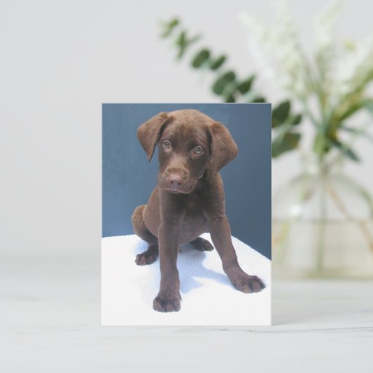 クリント ポストカード (スタンド正面)