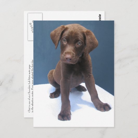 クリント ポストカード (正面/裏面)