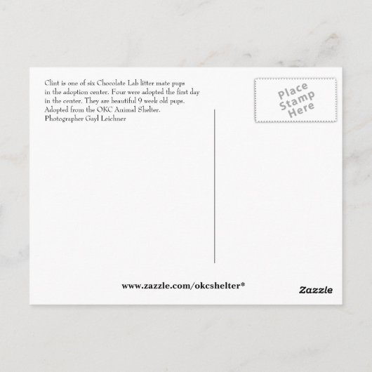 クリント ポストカード (裏面)