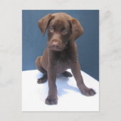 クリント ポストカード (正面)