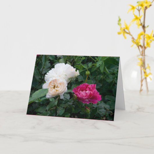 クリーエレガントムモダン・ピンクのバラの花が元気になる カード (黄色い花)