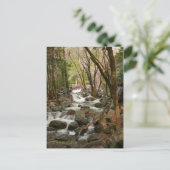 クリークアットブライダルヴェール滝ズヨセミテ ポストカード (スタンド正面)