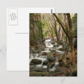 クリークアットブライダルヴェール滝ズヨセミテ ポストカード (正面/裏面)