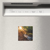 クリークバンクサンライズ マグネット (インサイチュ (食洗機))