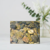 クリークベッドハガキ ポストカード (スタンド正面)