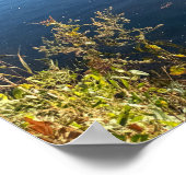 クリーク写真ポスター ポスター (角)