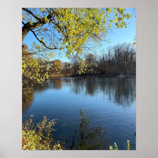 クリーク写真ポスター ポスター (正面)