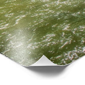 クリーク澄ん&山ジオンゴールデンコロラドサマー フォトプリント            (角)