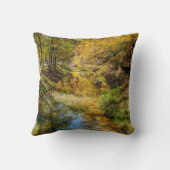 クリーク秋の反射（垂直） クッション (裏面)
