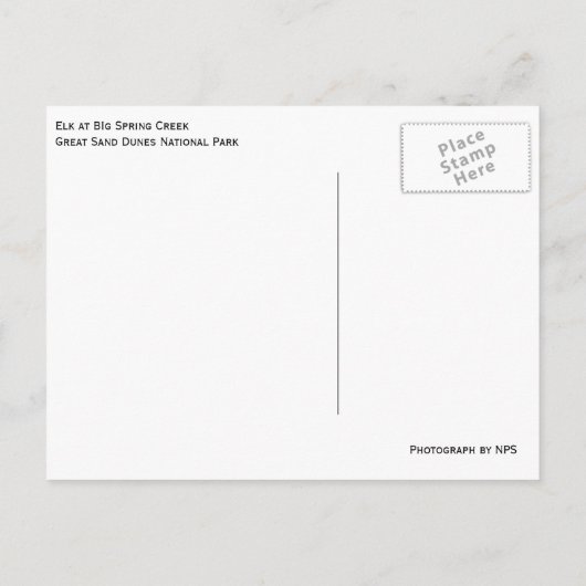 クリーク脇のヘラジカ グレイトサンドデューンズ国立公園 ポストカード (裏面)